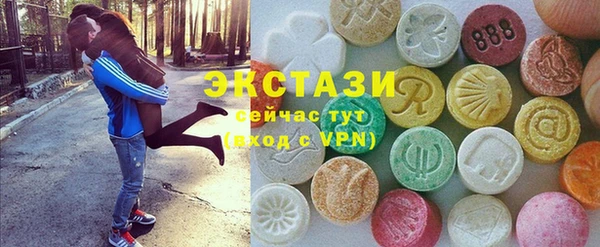 индика Абаза